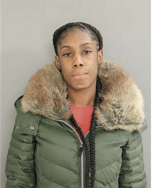 BRIANA A JAMES, Cook County, Illinois