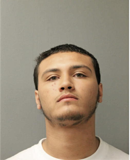 MICHAEL JOHNSON, Cook County, Illinois