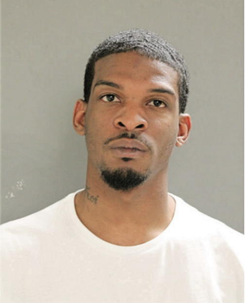 CEDRIC T LANGFORD, Cook County, Illinois