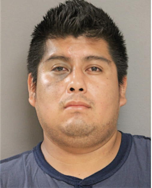 CARLOS A MALDONADO, Cook County, Illinois