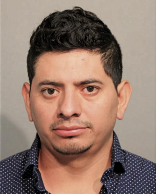 MIGUEL NAVARRETE, Cook County, Illinois