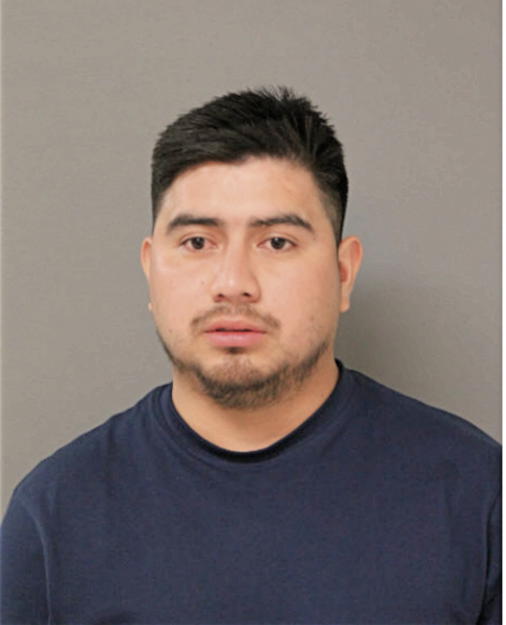 ELMER OVIDIO NAVARRO-PAZ, Cook County, Illinois