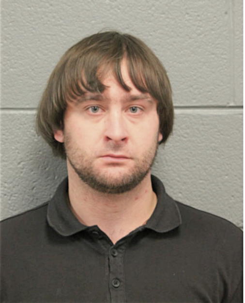 ALEXANDER S PAVLENKO, Cook County, Illinois