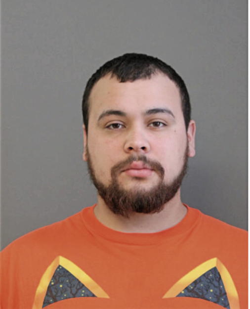 MICHAEL E PEREZ, Cook County, Illinois