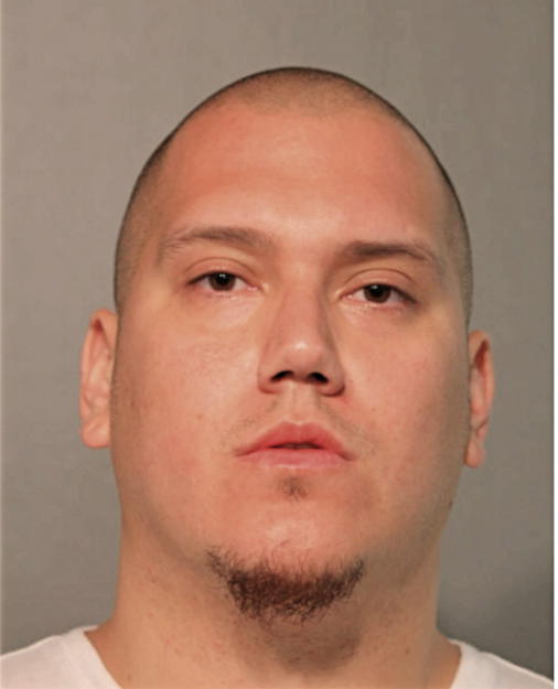MICHAEL D RASO, Cook County, Illinois