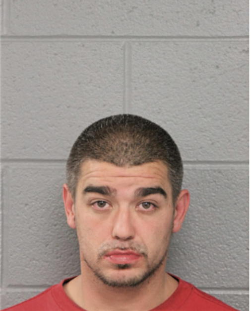 AUSTIN C SANCHEZ, Cook County, Illinois