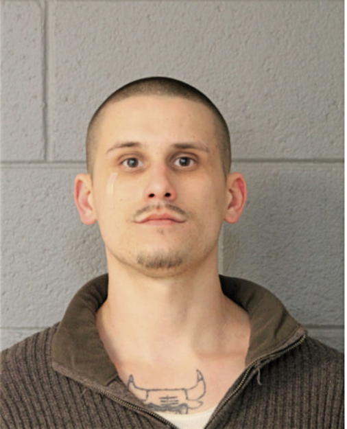 CHARLES M SLUKIS, Cook County, Illinois