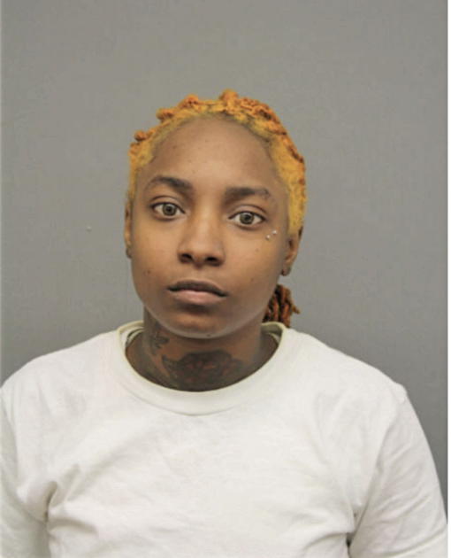 DANA A THOMPSON, Cook County, Illinois