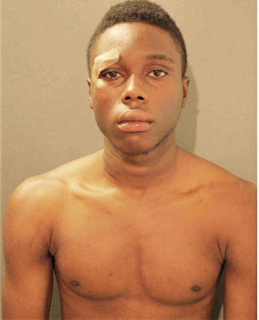 JOSHUA R WILSON, Cook County, Illinois