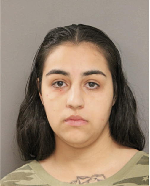 ELAINA J A OLBERA-HAMIDEH, Cook County, Illinois