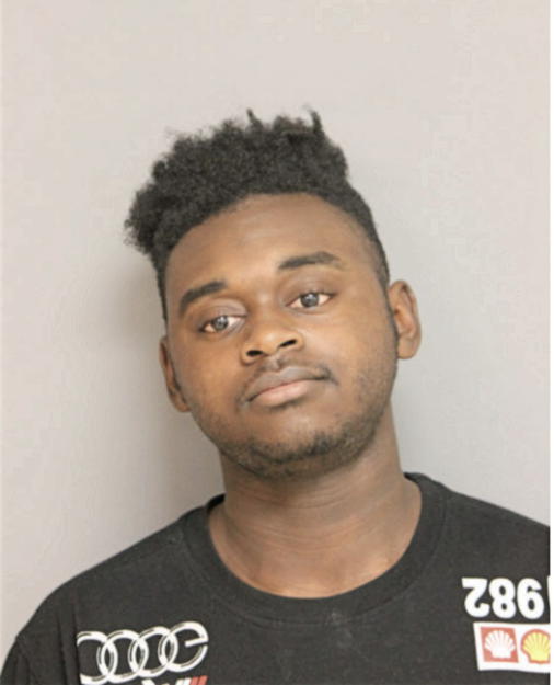 LLOYD S ANDERSON, Cook County, Illinois