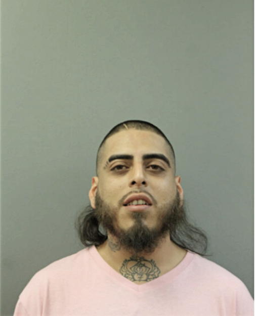 ALEJANDRO R AVILA, Cook County, Illinois