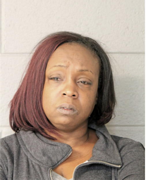KAREN J CANNON, Cook County, Illinois