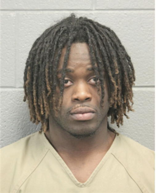 DIAMOND J CHEW, Cook County, Illinois