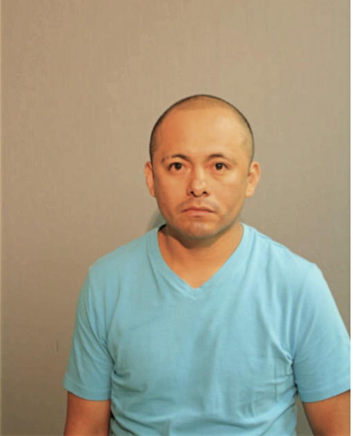 ALFREDO FLORES, Cook County, Illinois