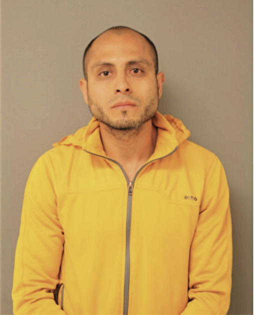 CARLOS FLORES-RUIZ, Cook County, Illinois