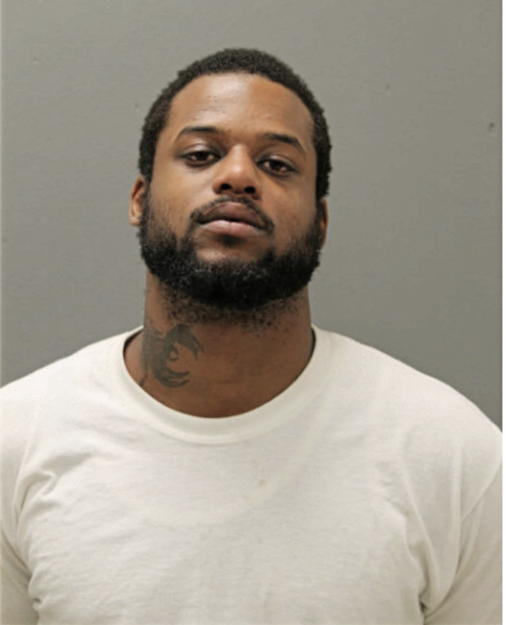 ARIC L FULTON, Cook County, Illinois