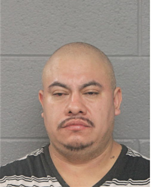 JOEL GARCIA, Cook County, Illinois