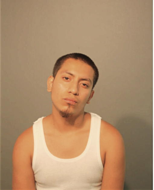 JESUS GONZALEZ, Cook County, Illinois