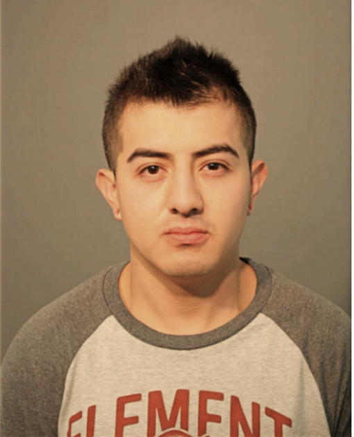 SERGIO O GONZALEZ, Cook County, Illinois