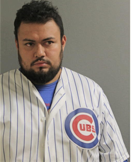 SERVANDO PATINO GONZALEZ, Cook County, Illinois