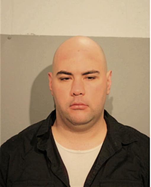 DANIEL E GRUNAUER, Cook County, Illinois