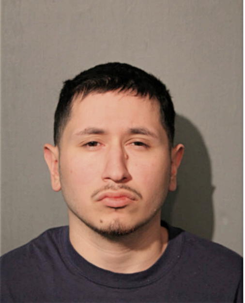 PABLO HERNANDEZ, Cook County, Illinois
