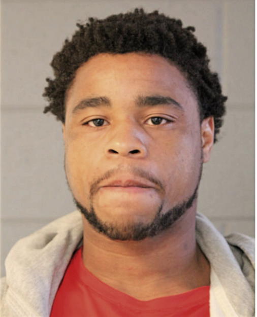DAVID J JACKSON, Cook County, Illinois