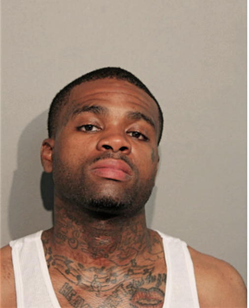 CHRISTOPHER D LAWSON, Cook County, Illinois