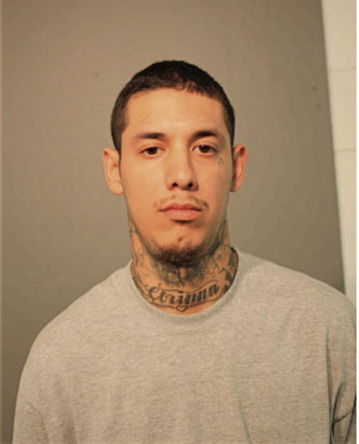 GUSTAVO ANTONIO MENDOZA, Cook County, Illinois