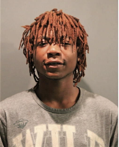 TERRANCE J PRICE, Cook County, Illinois