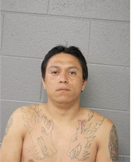 LUIS A ROJAS, Cook County, Illinois