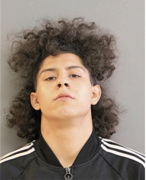 MITCHELL ROSAS, Cook County, Illinois