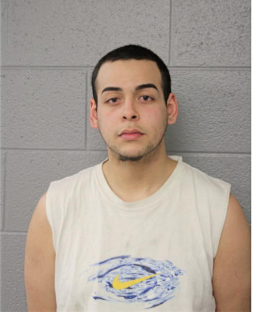 CARLOS A RUELAS, Cook County, Illinois