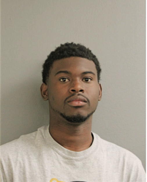 ANDRE J STEPHENS, Cook County, Illinois