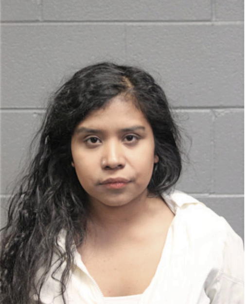 SIMONE R TURRUBIARTES, Cook County, Illinois