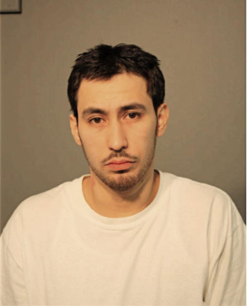 LUIS F URBINA, Cook County, Illinois