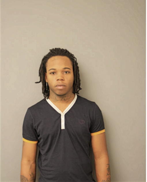 GARY S WILLIAMS, Cook County, Illinois
