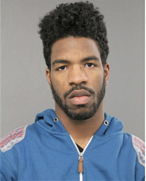 RAMON M ANDERSEN, Cook County, Illinois