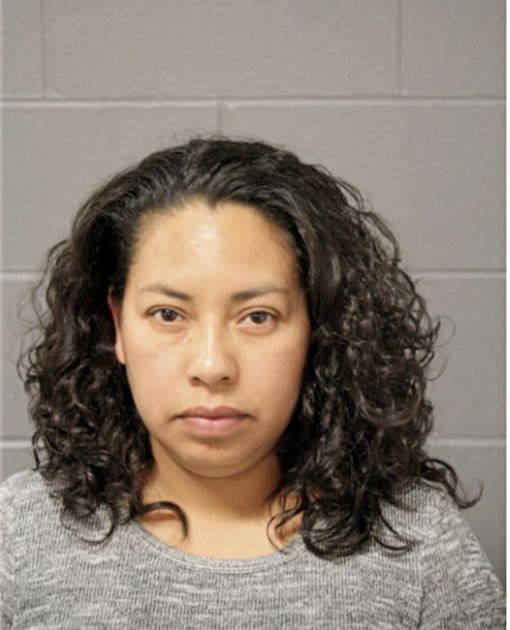 MARIA E ARTEAGA, Cook County, Illinois