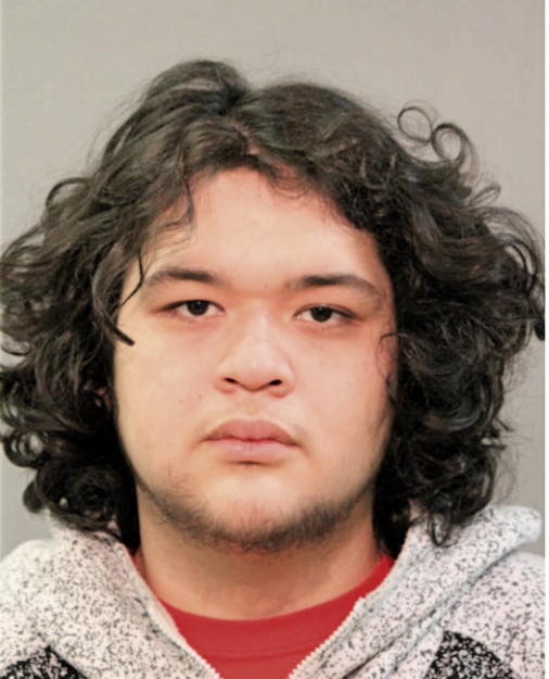 LUIS G BAUTISTA, Cook County, Illinois