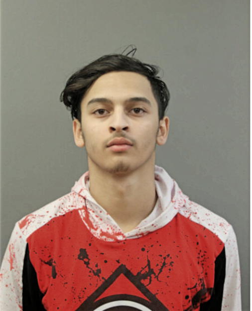 NOEL J BAUTISTA-MARTINEZ, Cook County, Illinois