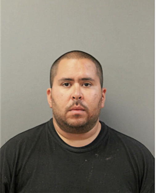 DANIEL L BONILLA, Cook County, Illinois