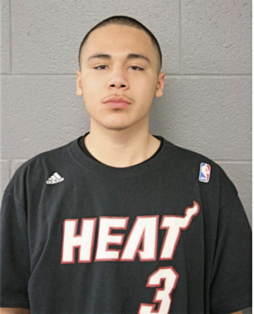 MARIO M CALIXTO, Cook County, Illinois
