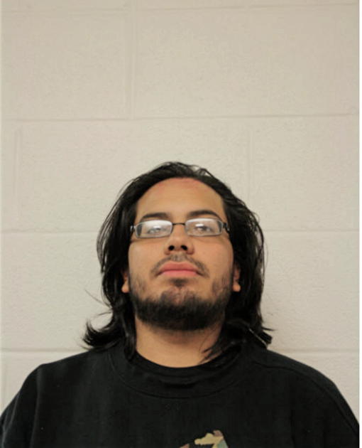 LUIS E FALLA, Cook County, Illinois