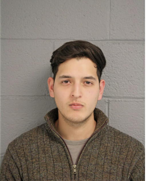 GERMAN GONZALEZ, Cook County, Illinois