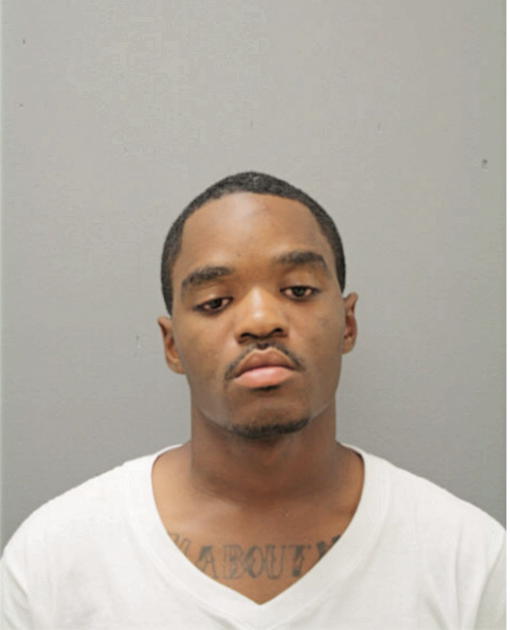 DARIUS L HAMILTON, Cook County, Illinois