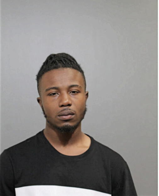 BRIAN P HENDERSON, Cook County, Illinois