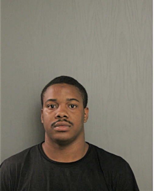 MICHAEL L JACKSON, Cook County, Illinois