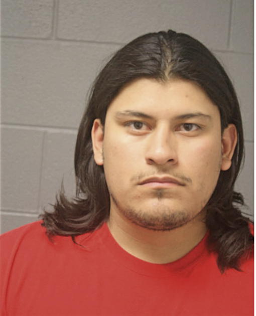 FRANCISCO J LOPEZ, Cook County, Illinois